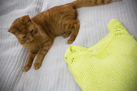 Kleidermaedchen-Zara-Haul-Sweater-Neon-gelb-trend-spring-summer-2013-pullover-zaraknit-1-lilliethecat