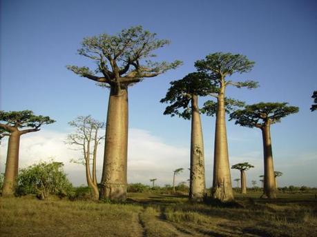 Reisetipps für Madagaskar