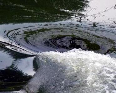 Ein Buch für die Unsterblichkeit