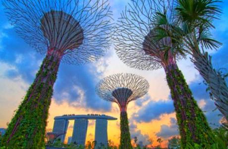 Singapurs fantastische Gärten - Gardens by the Bay