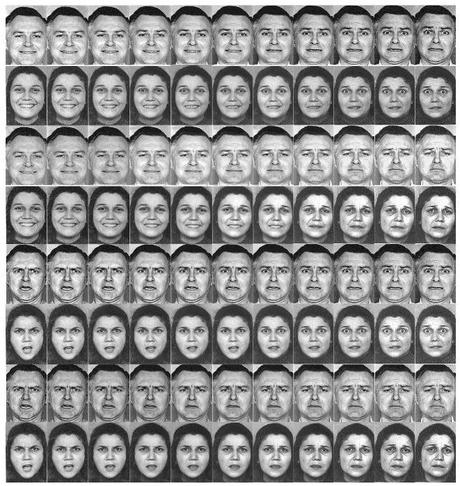 This chart of faces expressing emotions ranging from happy to fearful (lines 1-2); happy to sad (lines 3-4); angry to fearful (lines 5-6); and angry to sad (lines 7-8), was part of a study by Seth Pollak, assistant professor of psychology. Pollak examined how children who had experienced physical abuse categorized facial expressions differently than children who had not been abused.  Used with permission by: UW-Madison University Communications  608/262-0067 Photo by:  Seth Pollak, courtesy PNAS Date:  06/02     File#:   scan provided