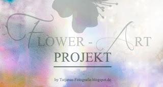 Flower Art Projekt Juni 2013
