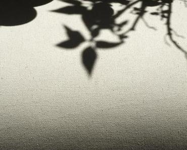 03.06.2013 | Montag
