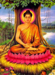Buddha_Bodhibaum