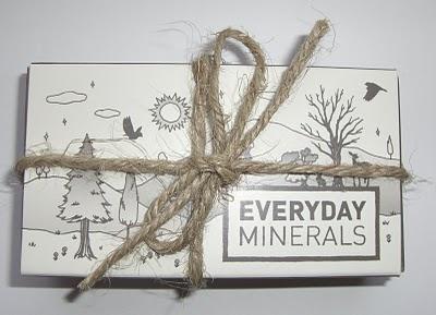 Everyday Minerals Techno Travel Eye Kit