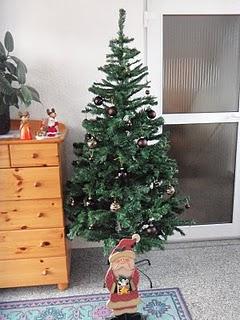 Mein Test-Weihnachtsbaum ist da