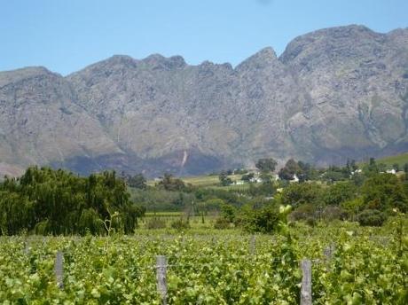 Reisebericht Südafrika: die winelands, Franschhoek
