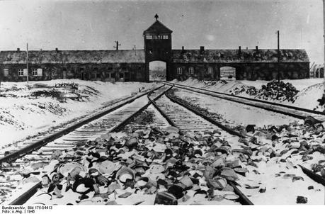 Der Holocaust und die Deutschen