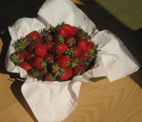 Frische Erdbeeren im Dezember