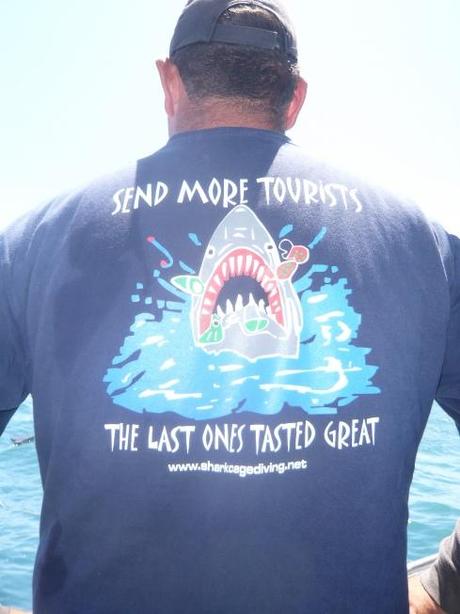 Reisebericht Südafrika: Auge in Auge mit dem weißen Hai!