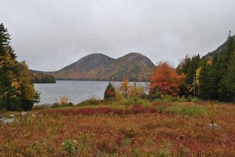 Epic Trip to Acadia – Day 2 – Rain and Nature