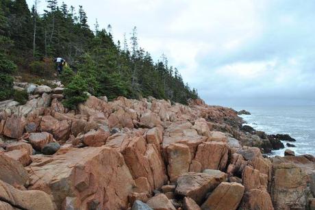 Epic Trip to Acadia – Day 2 – Rain and Nature