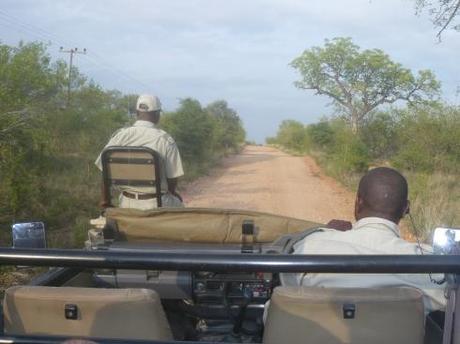 Reisebericht Südafrika: Der Ruf der Wildnis, Teil 2: Auf Kuschelkurs mit Elefant, Löwe & Co