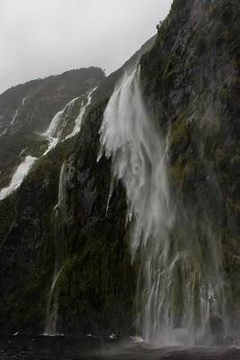 rainy Milford Sound