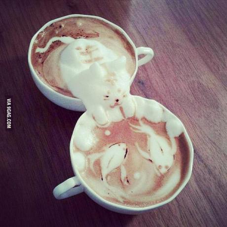 Kaffee Milchschaum Katze