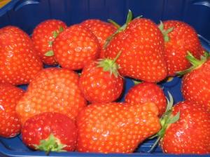 Erdbeere – Hochsaison im Juni