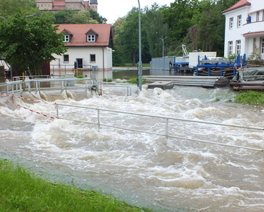 Hochwasser in Mitteldeutschland: Vireo in den Fluten