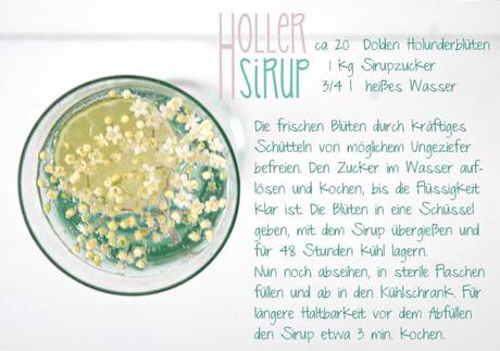 Blonde Schönheit {Holunderblütensirup}