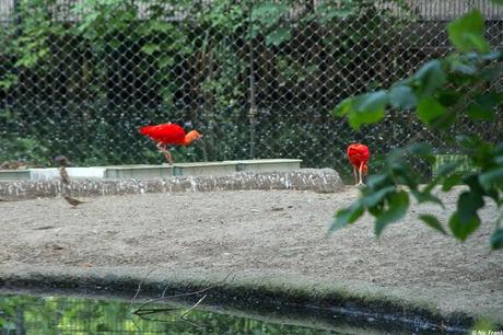 Im Berliner Zoo