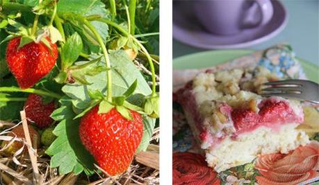 Sonntags ist Kaffeezeit - Heute Erdbeer-Walnuss-Streuselkuchen