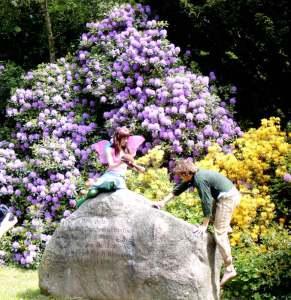 Nadtachmittag in der s 004