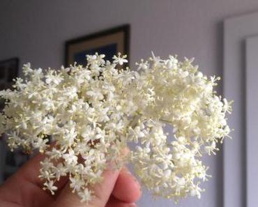 "Der Holunder blüht" oder Köstliches aus der Holunderblüte