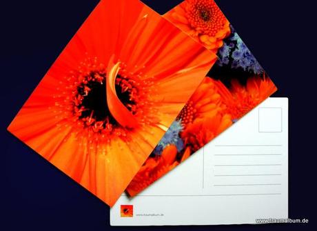 Postkarten mit eigenen Fotos werden verlost