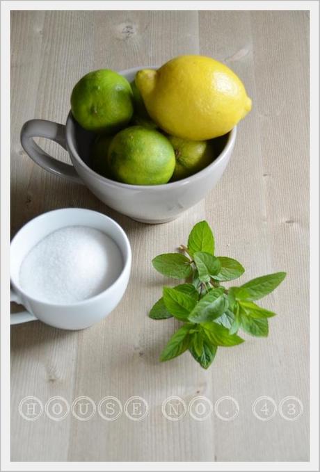 Limette Minze Sirup -  lime mint syrup
