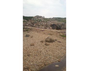 (leider zu kruzer) Tagesausflug nach Nochten (: