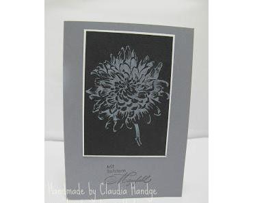 Wunderschöne Dahlie