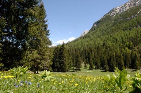 Naturpark im Trentino