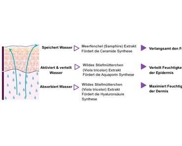 Aufblühen mit Decléor Hydra Floral 24h Multi-Protection