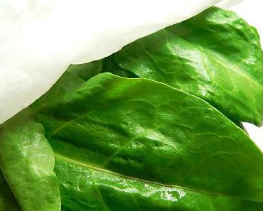 Blattsalate frisch halten