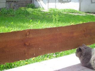 Es grünt so grün...