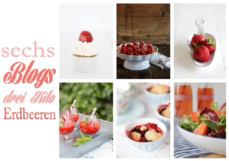 sechs Blogs, drei Kilo Erdbeeren