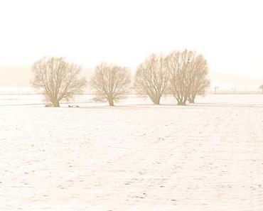 12 Parts Of A View - June