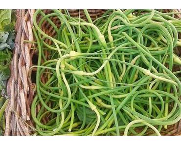 Knoblauchknospen