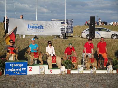 Das war die Coursing Europameisterschaft 2013 auf der Halbinsel Pouch in Deutschland!