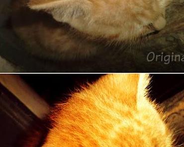 The Magic of Photoshop #3
