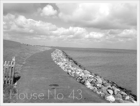 an der Nordsee - by the north sea