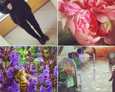 Van der Hellscher Wochenrückblick