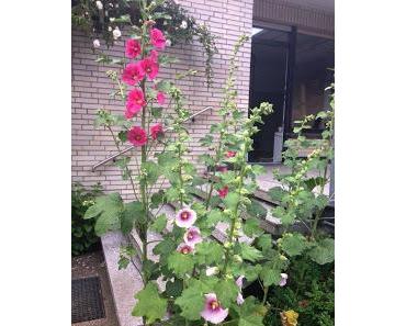 Wir haben es fast geschafft.