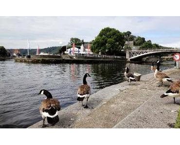 Benelux: Pfützenhüpfen in Namur