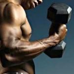 Muskelwachstum -Die 3 grundlegenden Bereiche