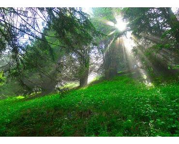 wallpaper-1689754