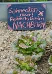 Tag der offenen Gärten und Höfe – Teil 5: In Britzingen heisst’s „Schnecken raus….!”