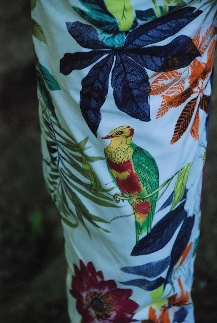 ❀OOTD❀ Papagei Hose und Vintage Bluse