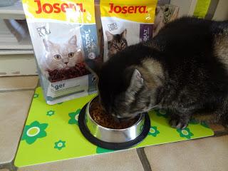 Katzenfutter von Josera - meine Katzen sind da wählerisch!