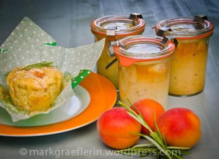 Aprikosenkuchen im Glas3
