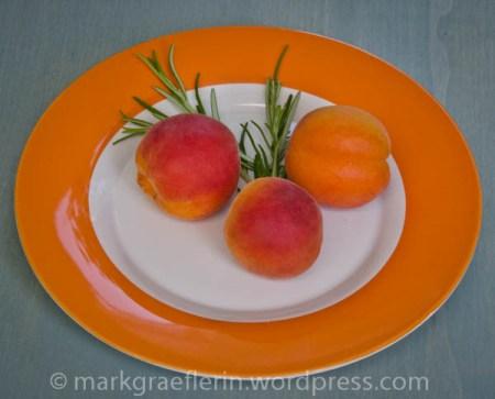 Aprikosenkuchen im Glas8
